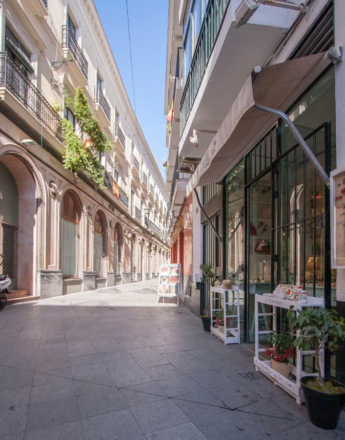 Botanic Duplex Terrace 5 Pax Siviglia