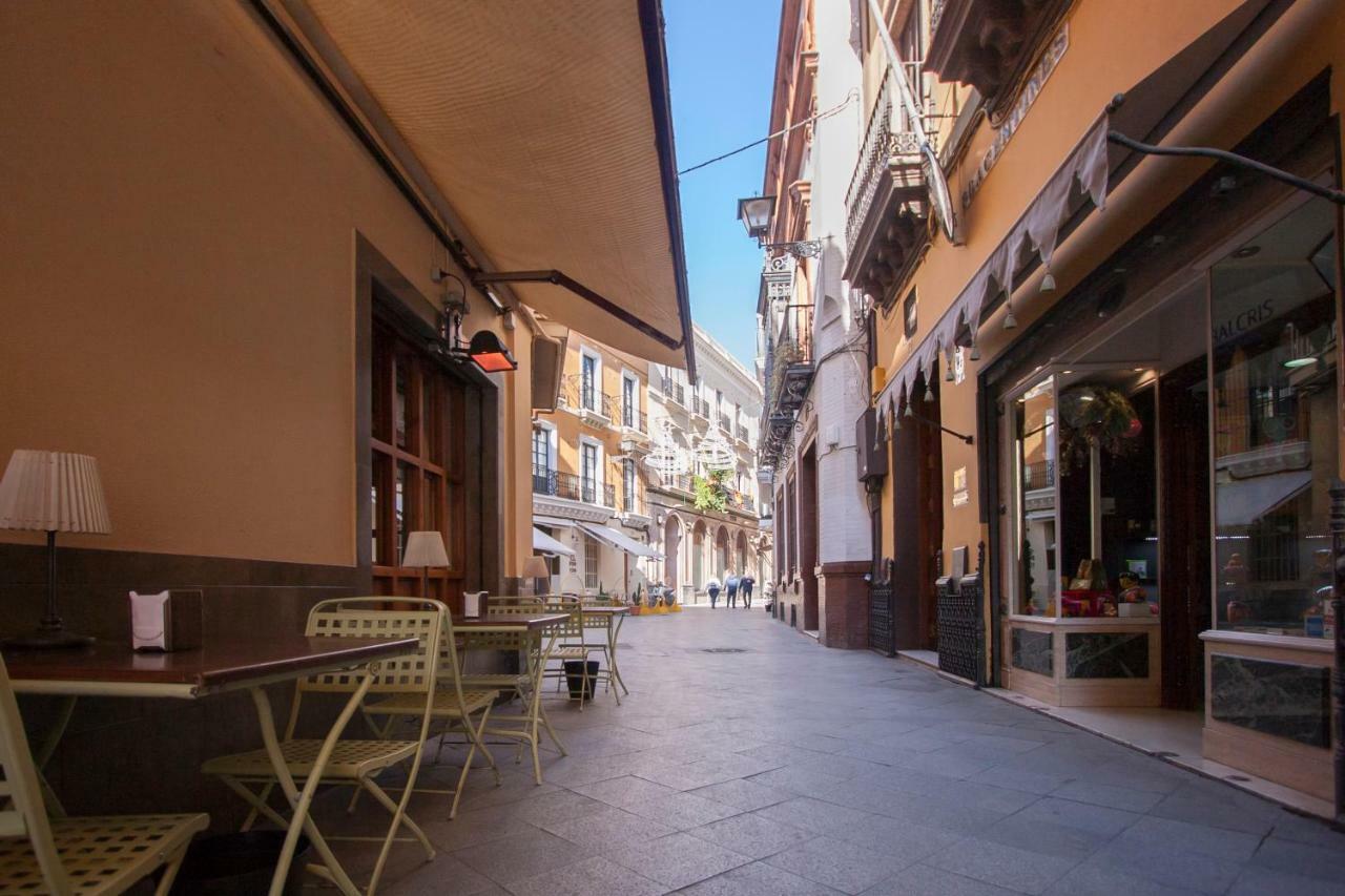 Botanic Duplex Terrace 5 Pax Siviglia